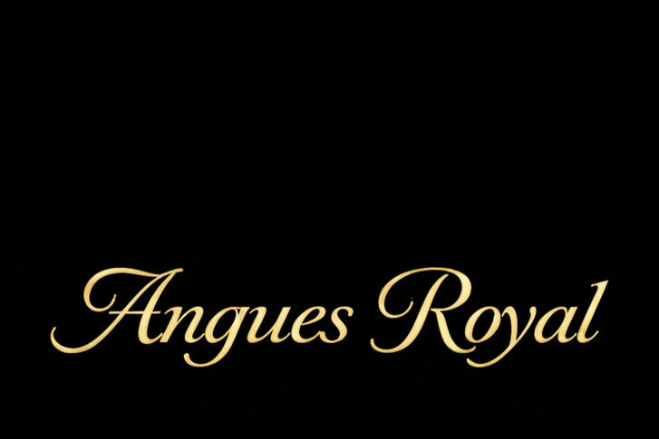 Angues Logo Angues; Diamond Your Taste