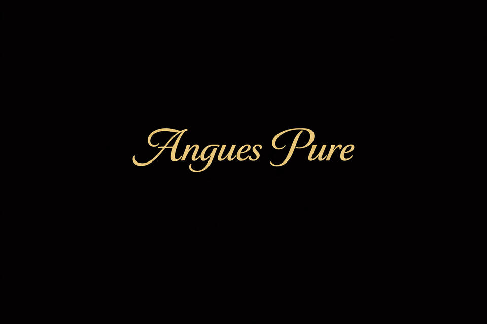Angues Logo Angues; Diamond Your Taste